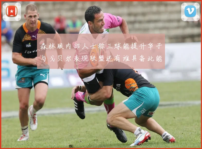 森林狼内部人士称三球能提升华子与戈贝尔表现联盟还有谁具备此能力